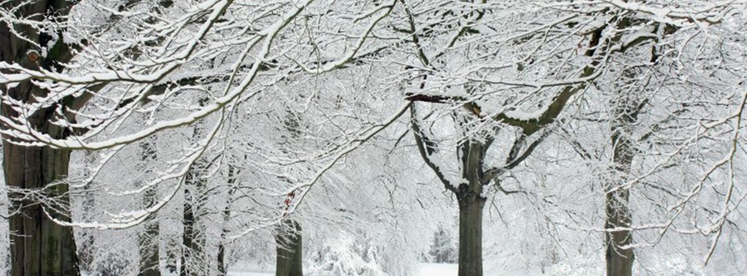 Winter plumbing tips