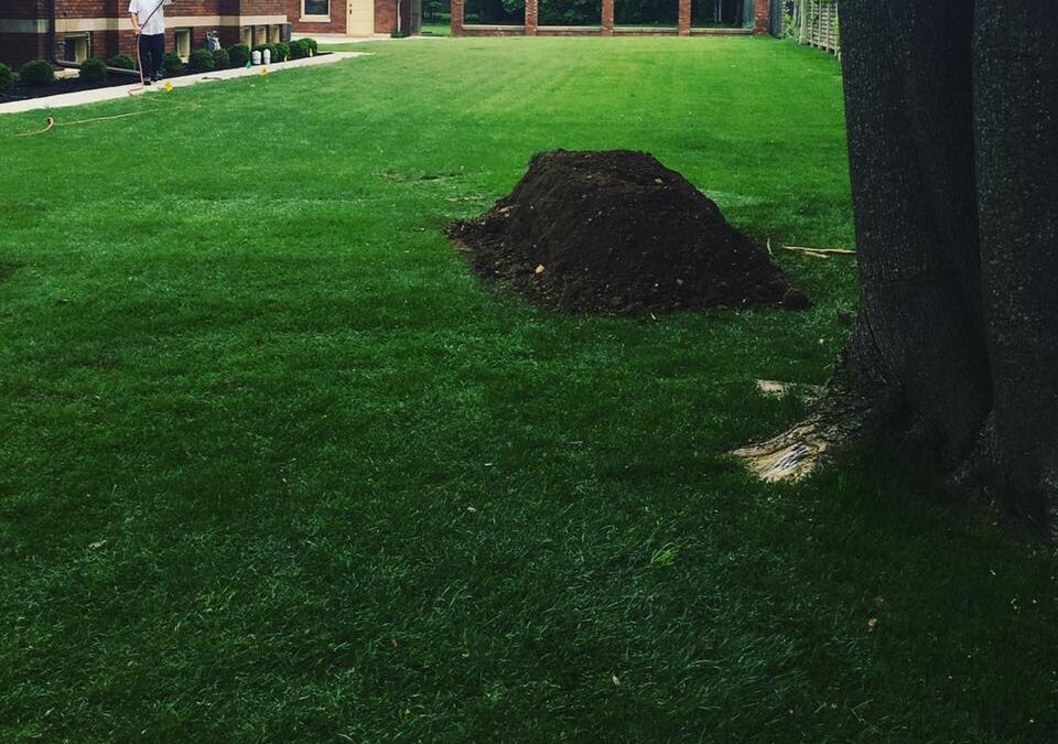 Why is there a mound of dirt in my yard after a sewer line repair?